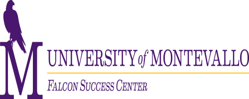 Falcon Success Center Logo