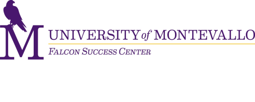 Falcon Success Center Logo