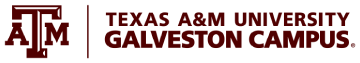 Texas A&M University at Galveston Writing Lab Logo